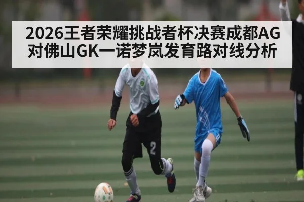 2026王者荣耀挑战者杯决赛成都AG对佛山GK一诺梦岚发育路对线分析